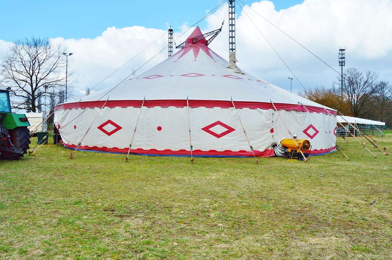 circus tent circus in the green free photo