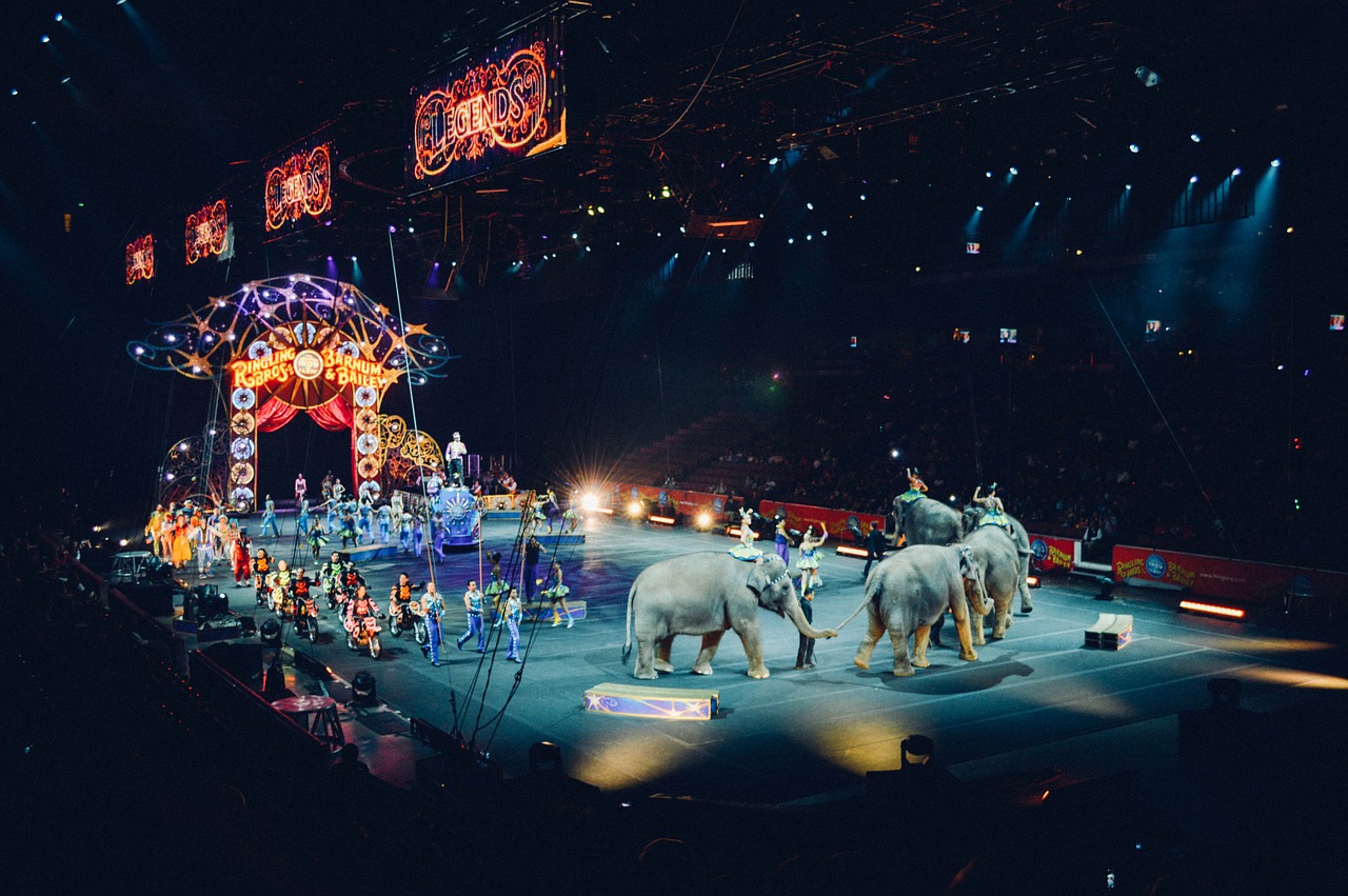 circus arena ring free photo