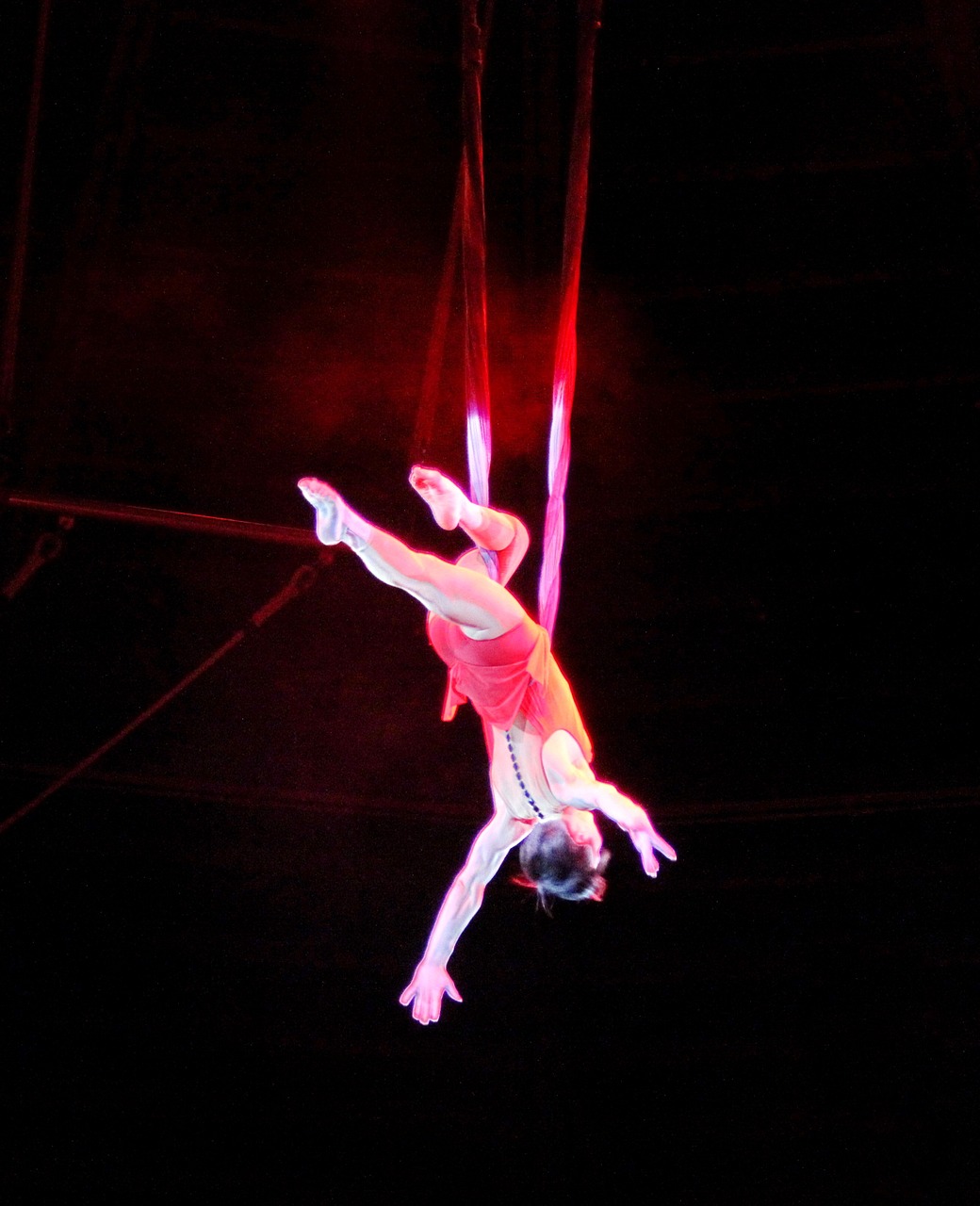 circus trapez entertainment free photo