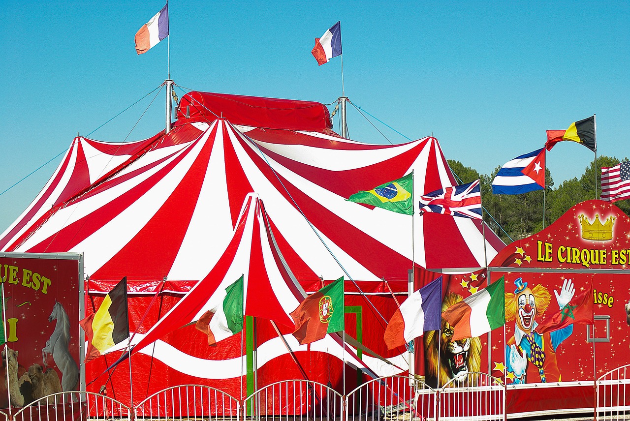 circus marquee circus tent free photo