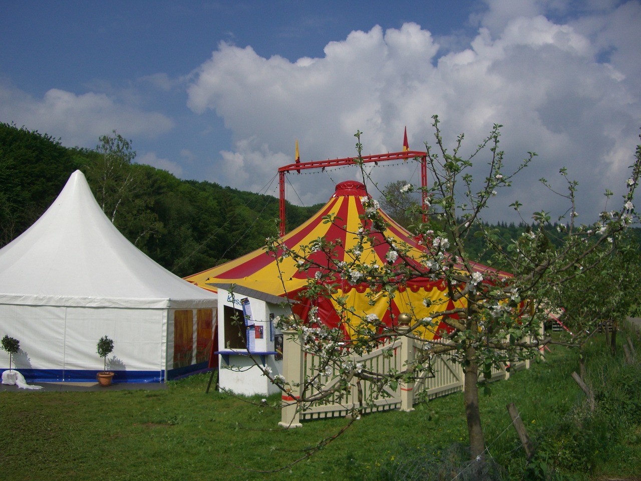 circus tent circus in the green tent free photo