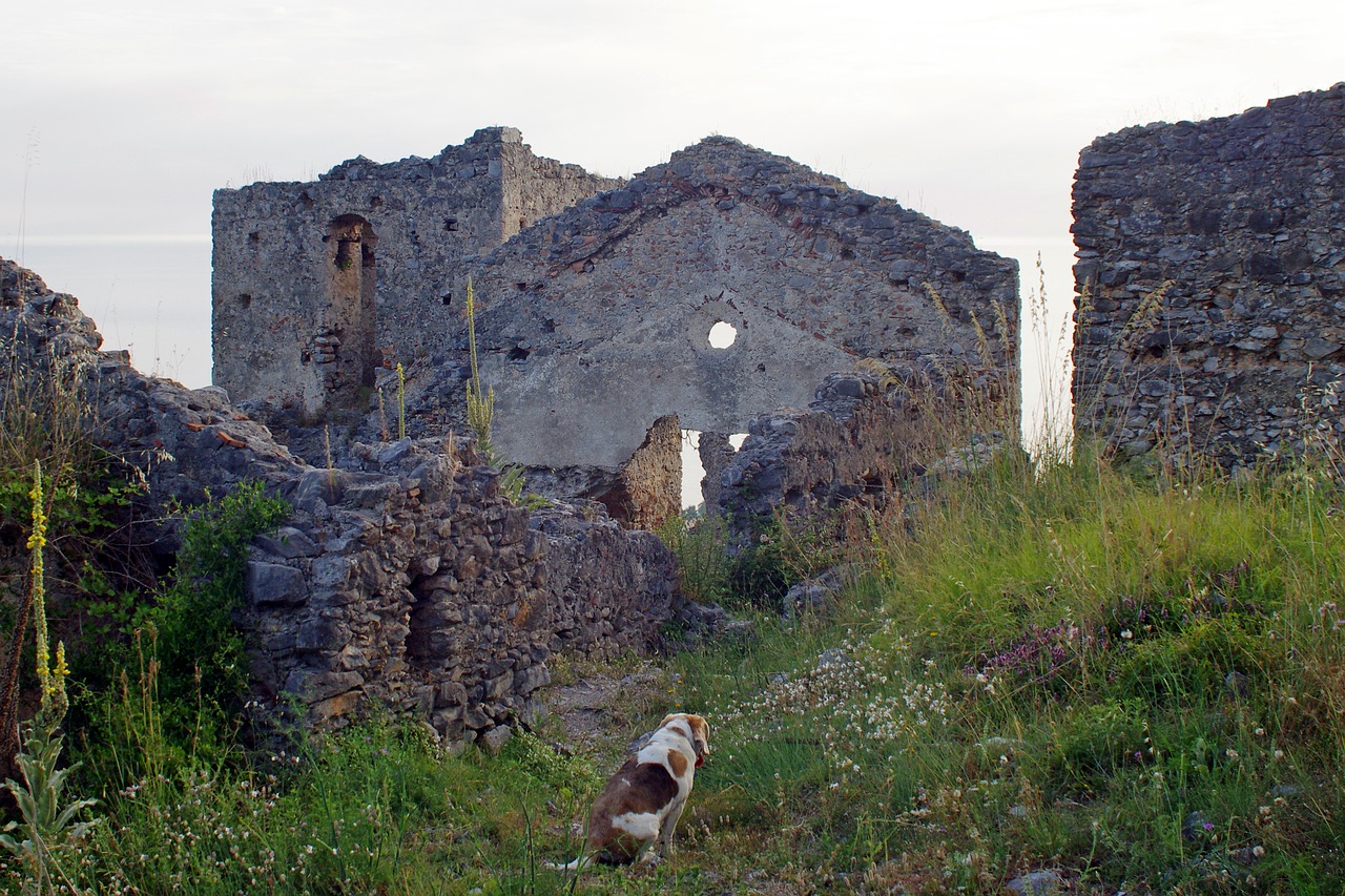 cirella ruins of cirella ruins free photo