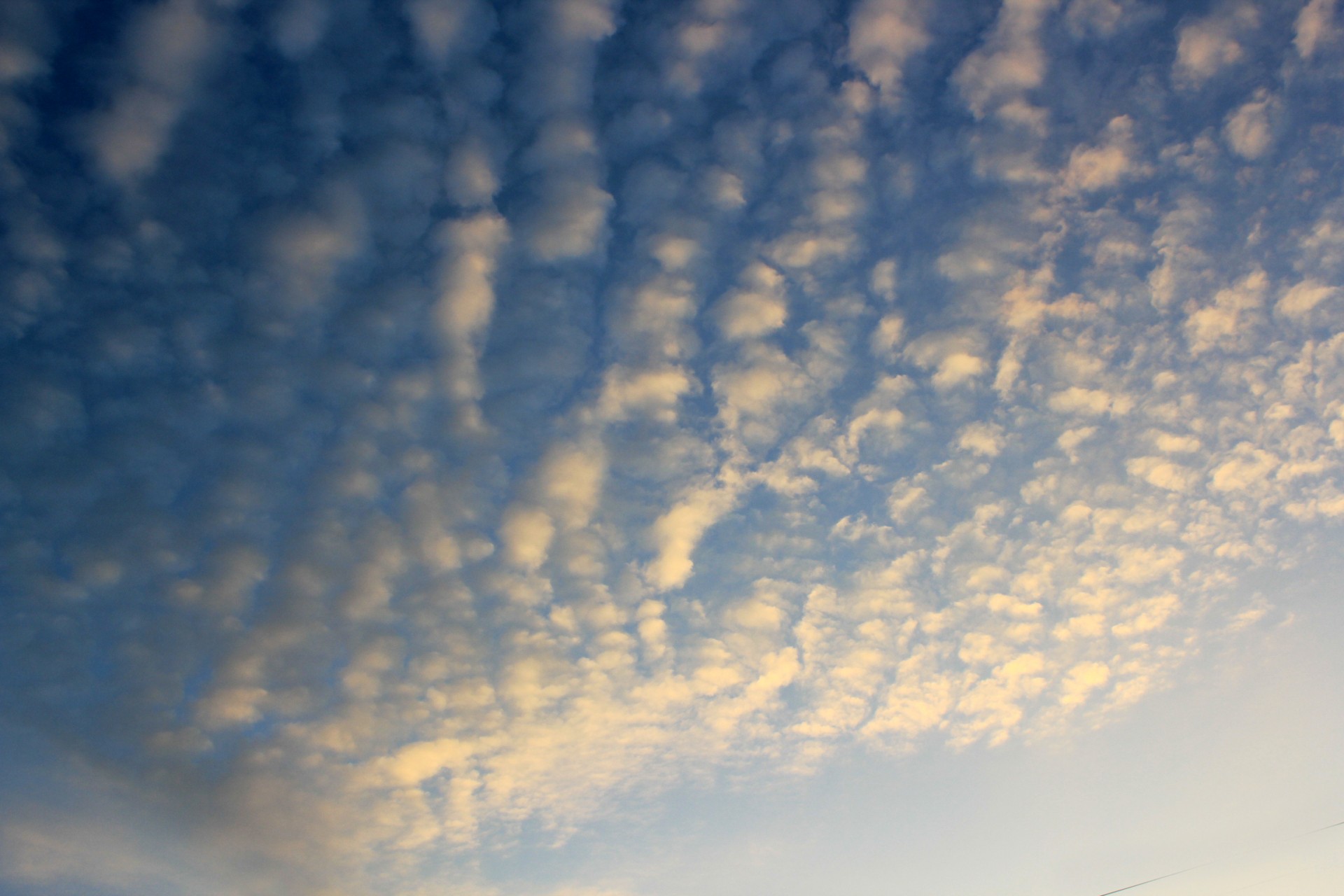 cirrocumulus clouds sky free photo