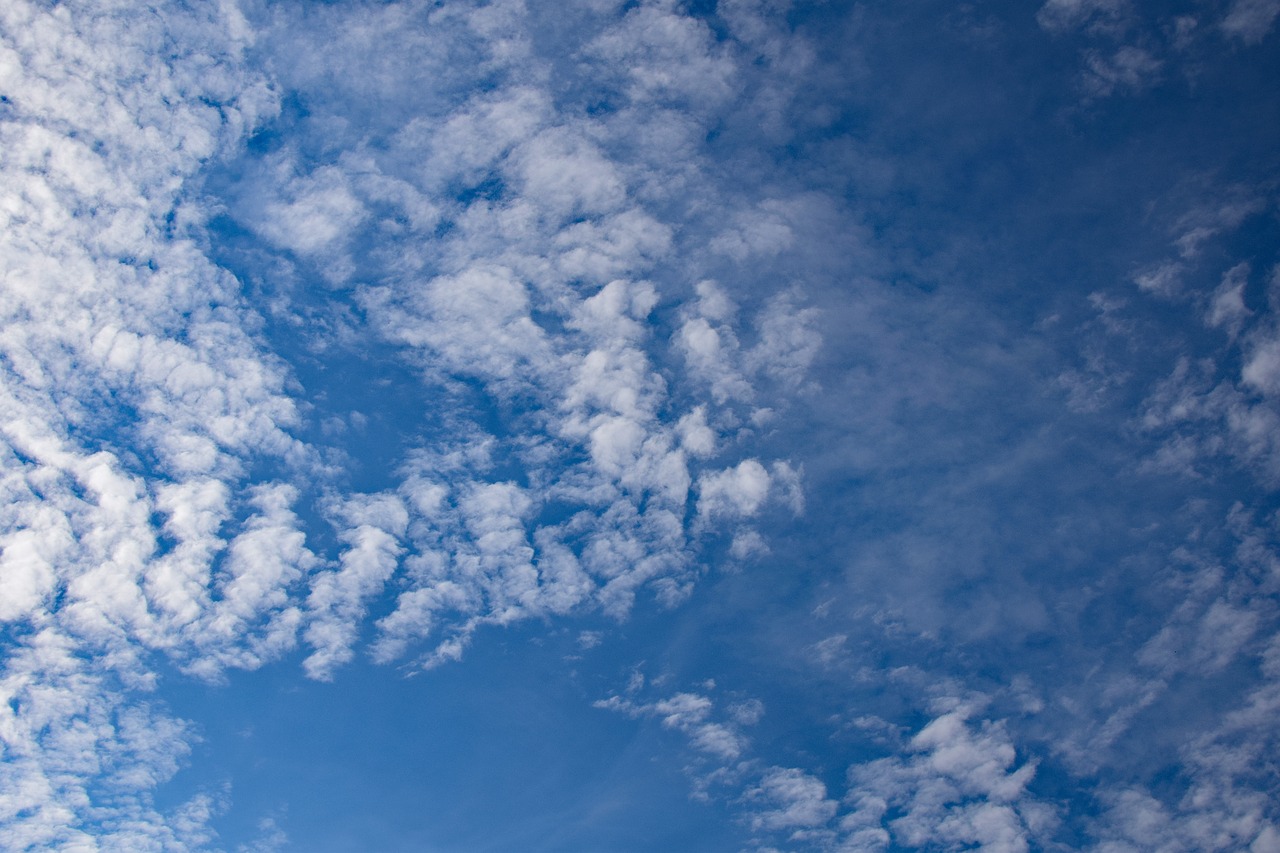 cirrocumulus stratiformis clouds clouds sky free photo