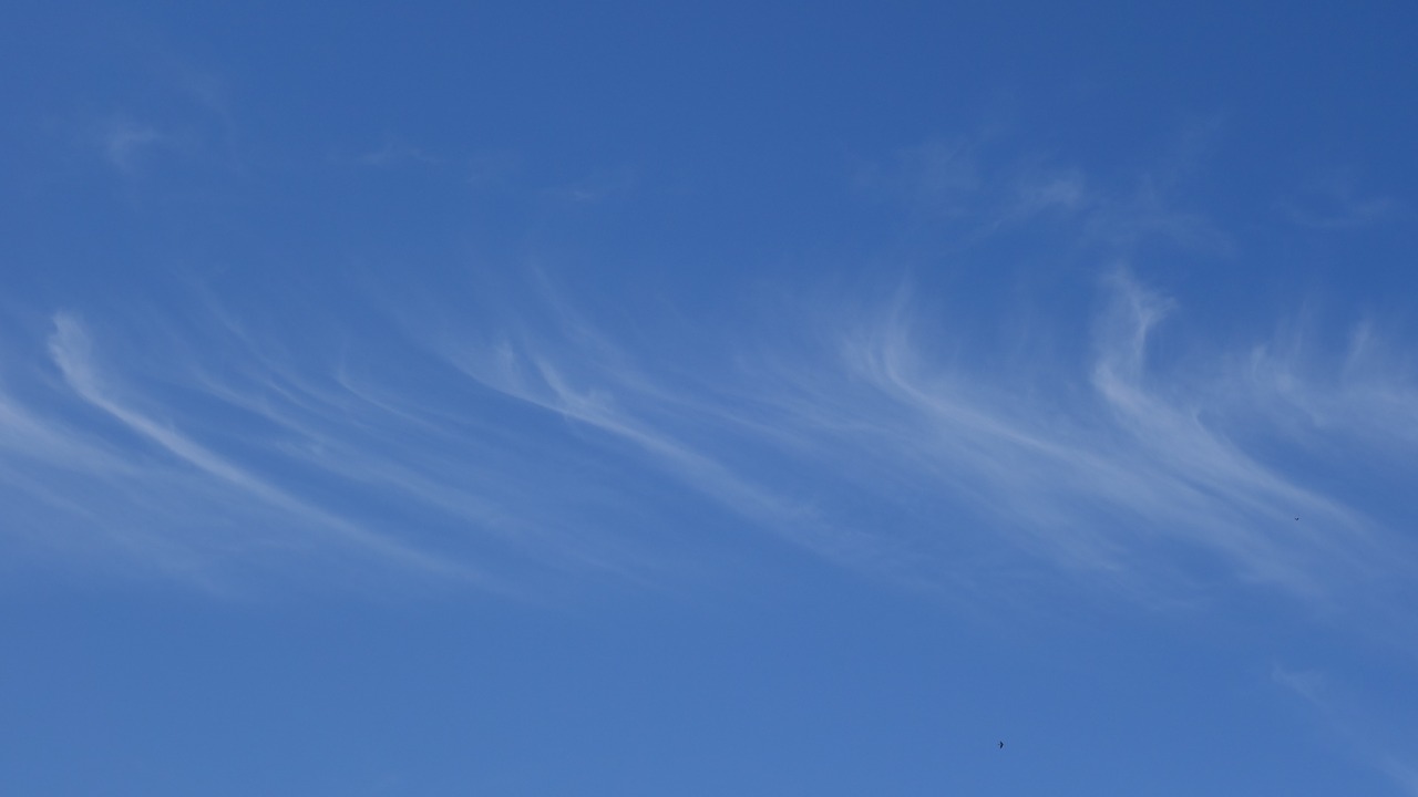 cirrus clouds filaments free photo