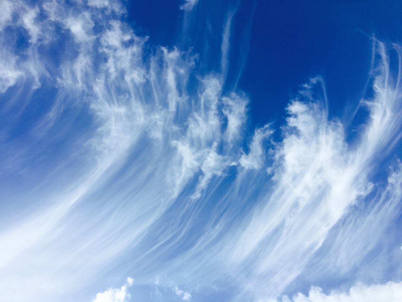 cirrus clouds blue free photo