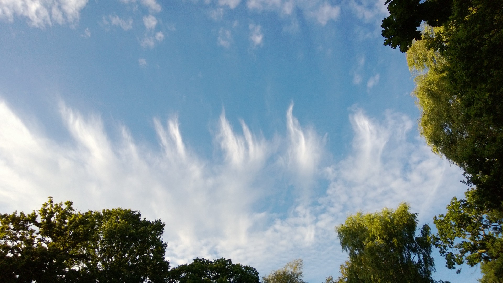 cirrus uncinus clouds free photo