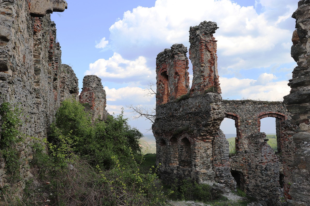 citadel  soimos  lipova free photo