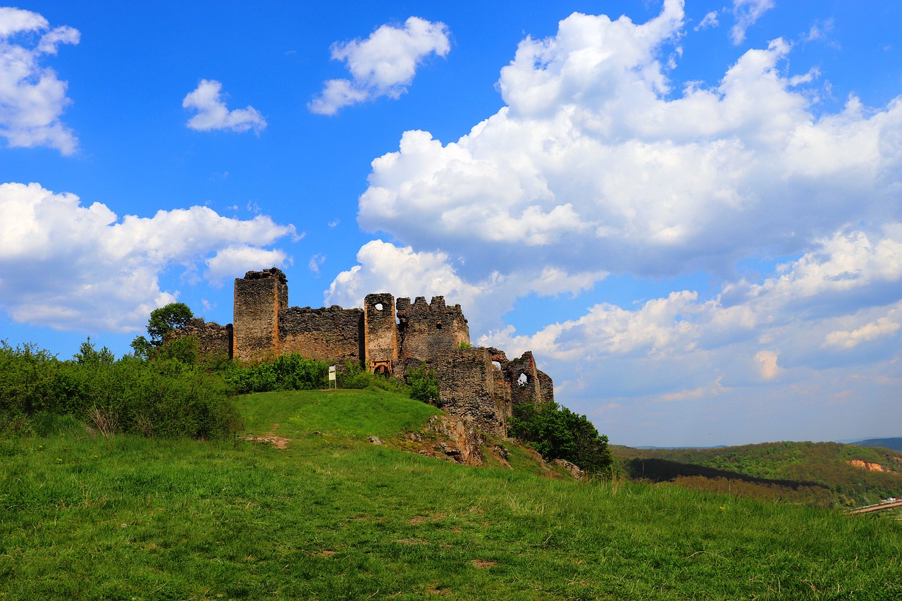 citadel  soimos  lipova free photo