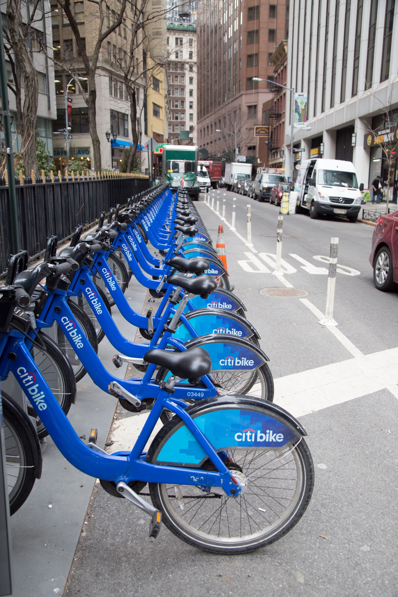 bikes nyc ny free photo