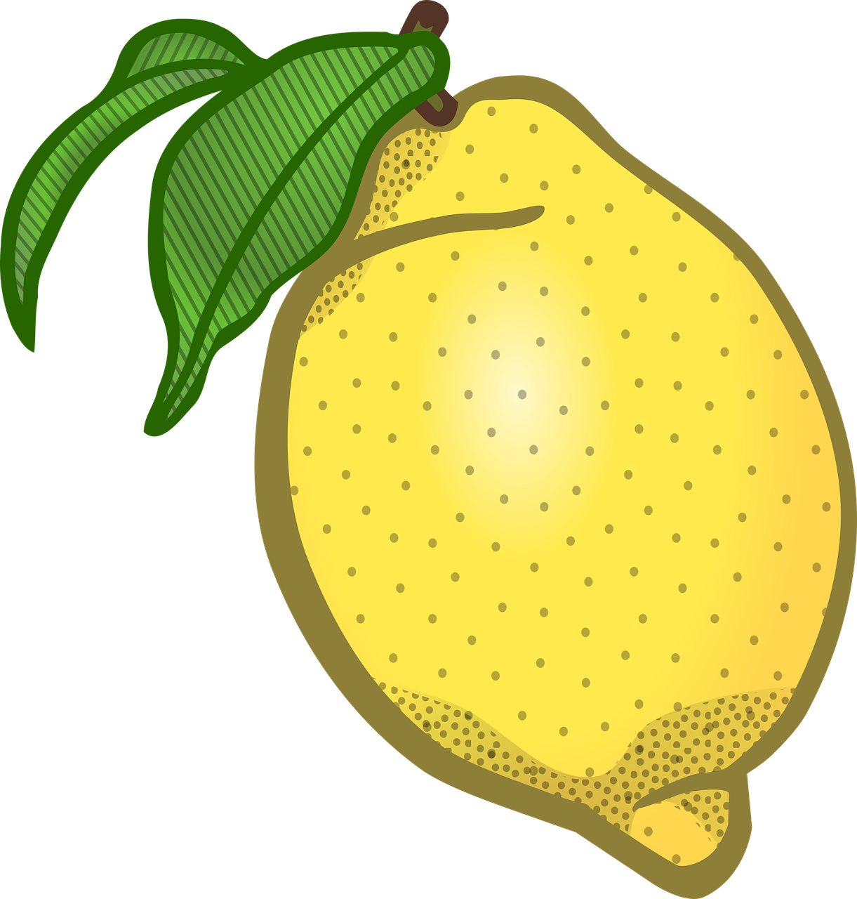 citron education fruit free photo