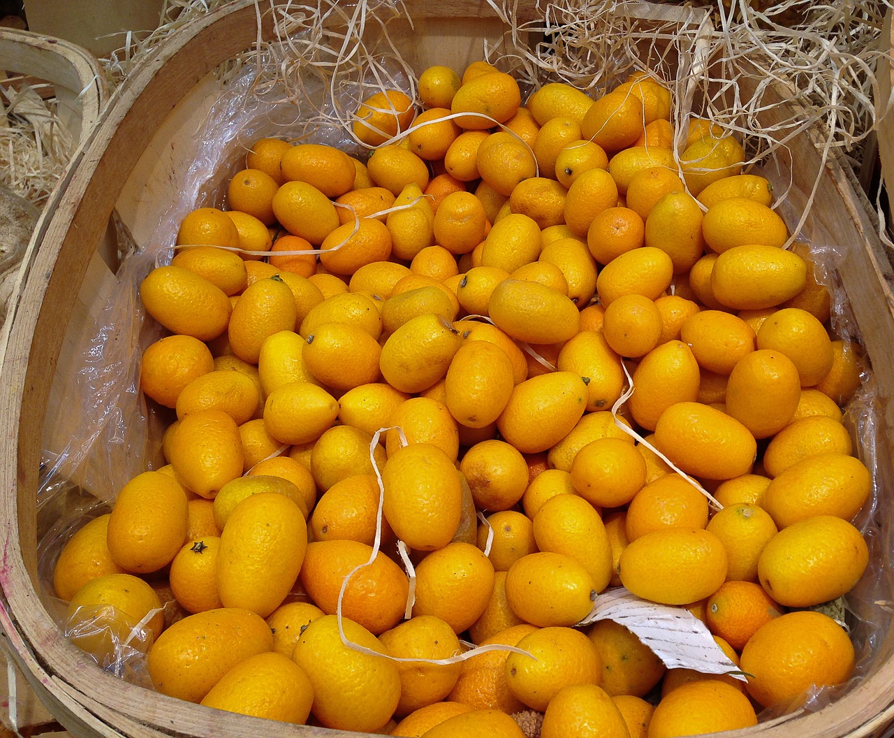 citrus kumquats fruit free photo