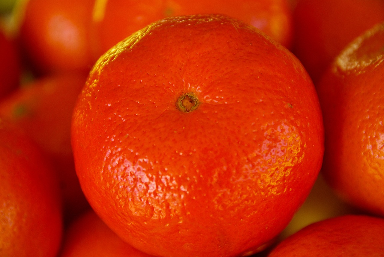 citrus clementines fruit free photo