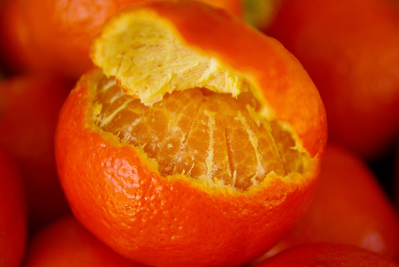 citrus clementines fruit free photo