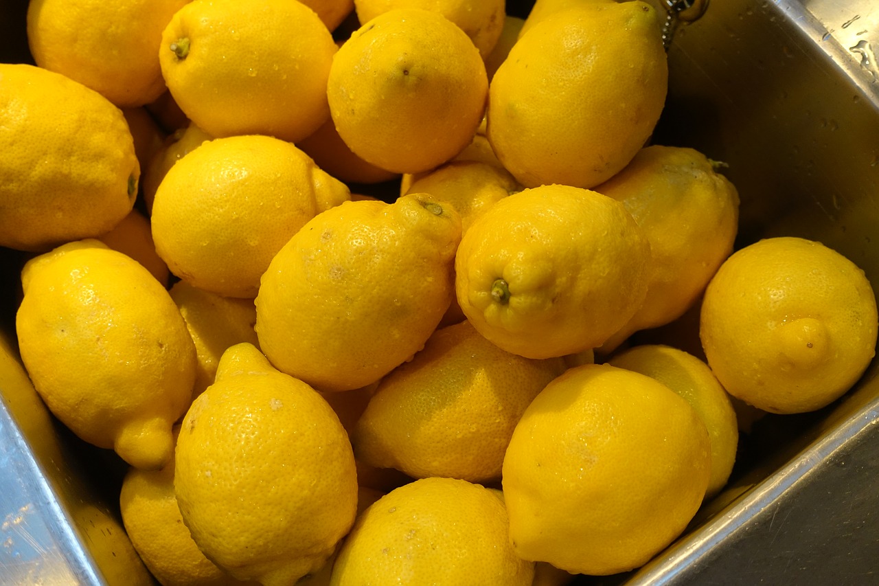 citrus lemon citrus lemon free photo