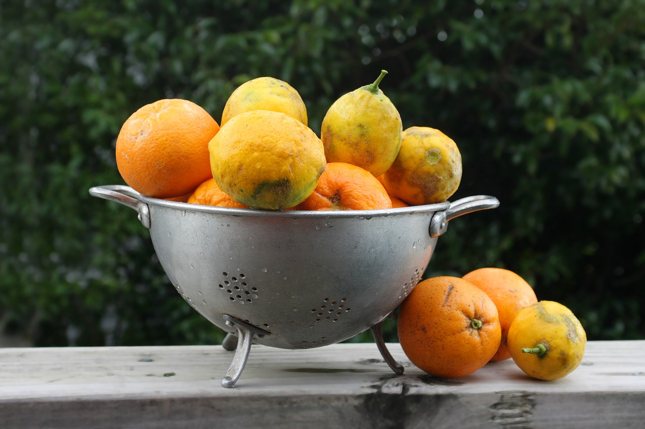 citrus oranges lemons free photo