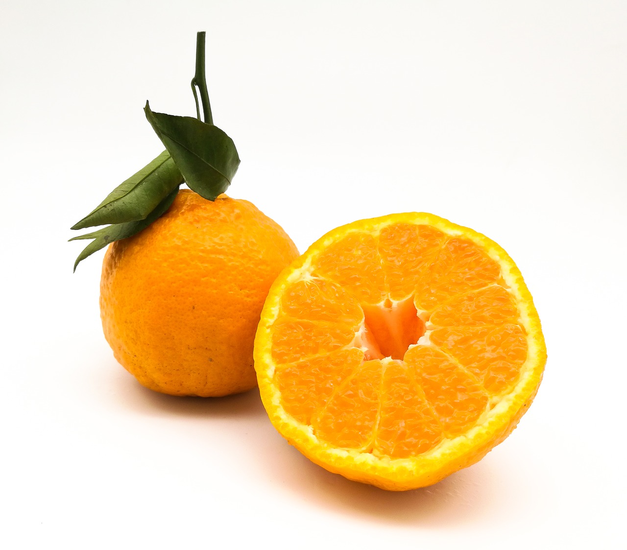 citrus miscellaneous citrus don't fire free photo