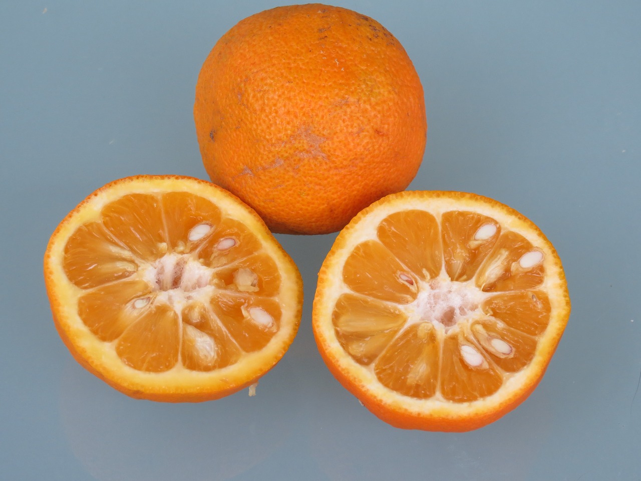 citrus fruit grapefruit fruit free photo