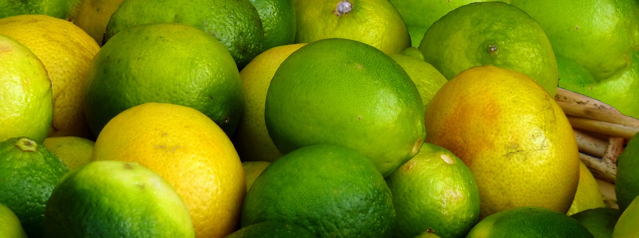 citrus fruits  vitamins  fruit free photo