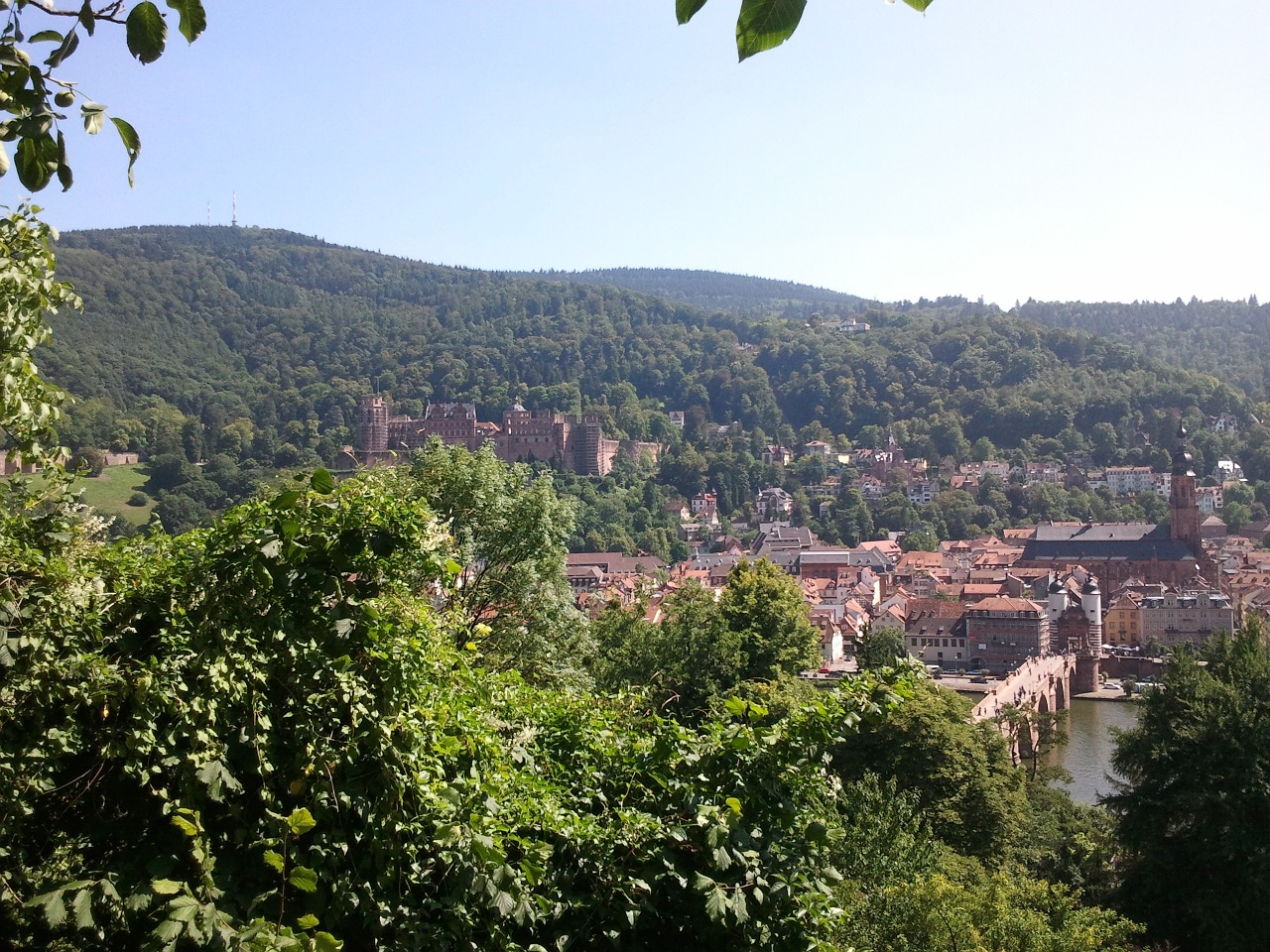 city heidelberg outlook free photo