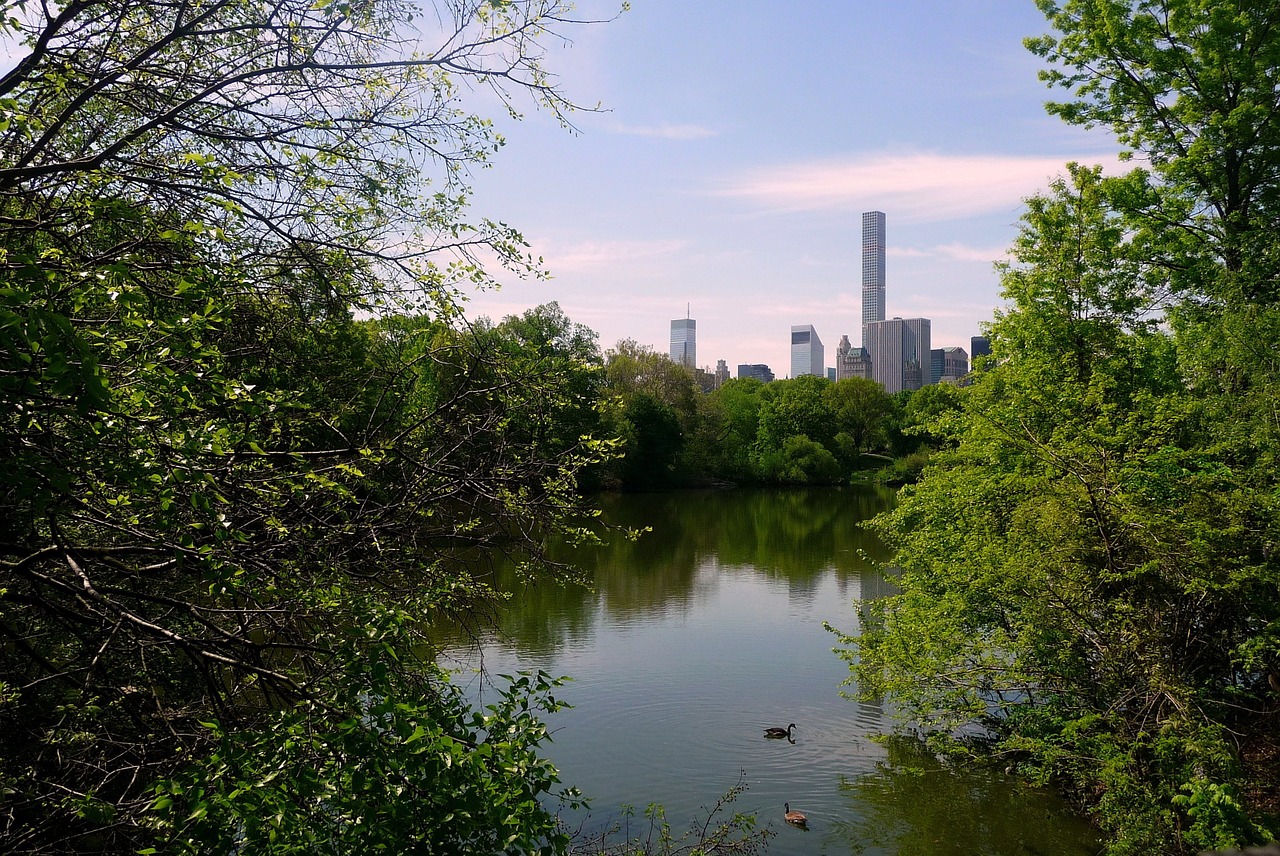 city lake green free photo