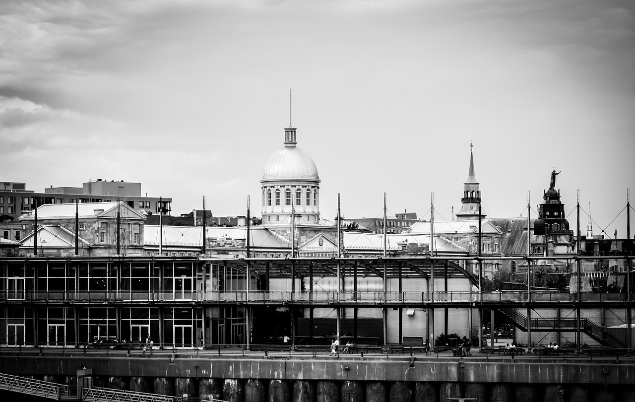 city montréal buildings free photo