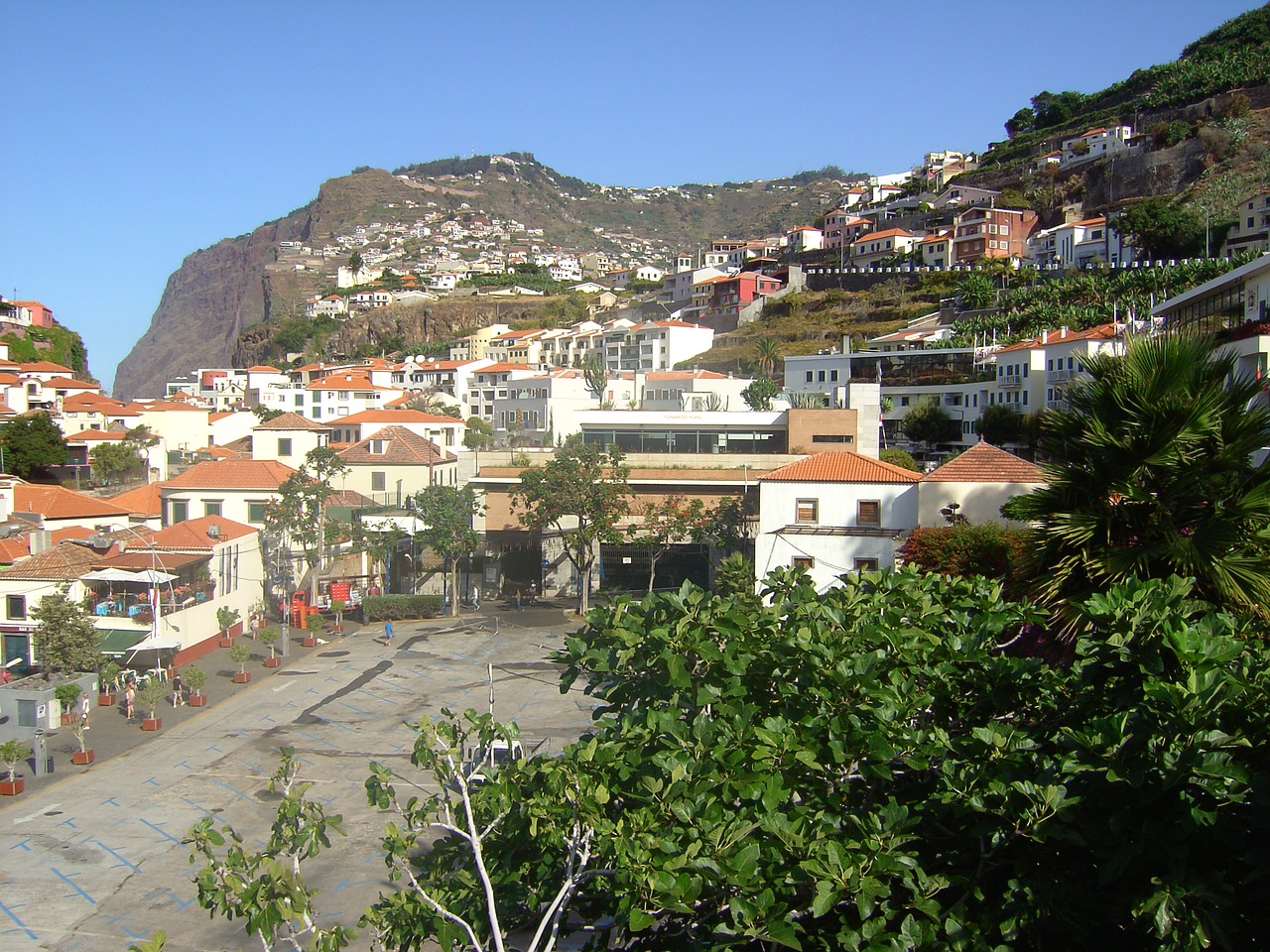 city funchal madeira free photo