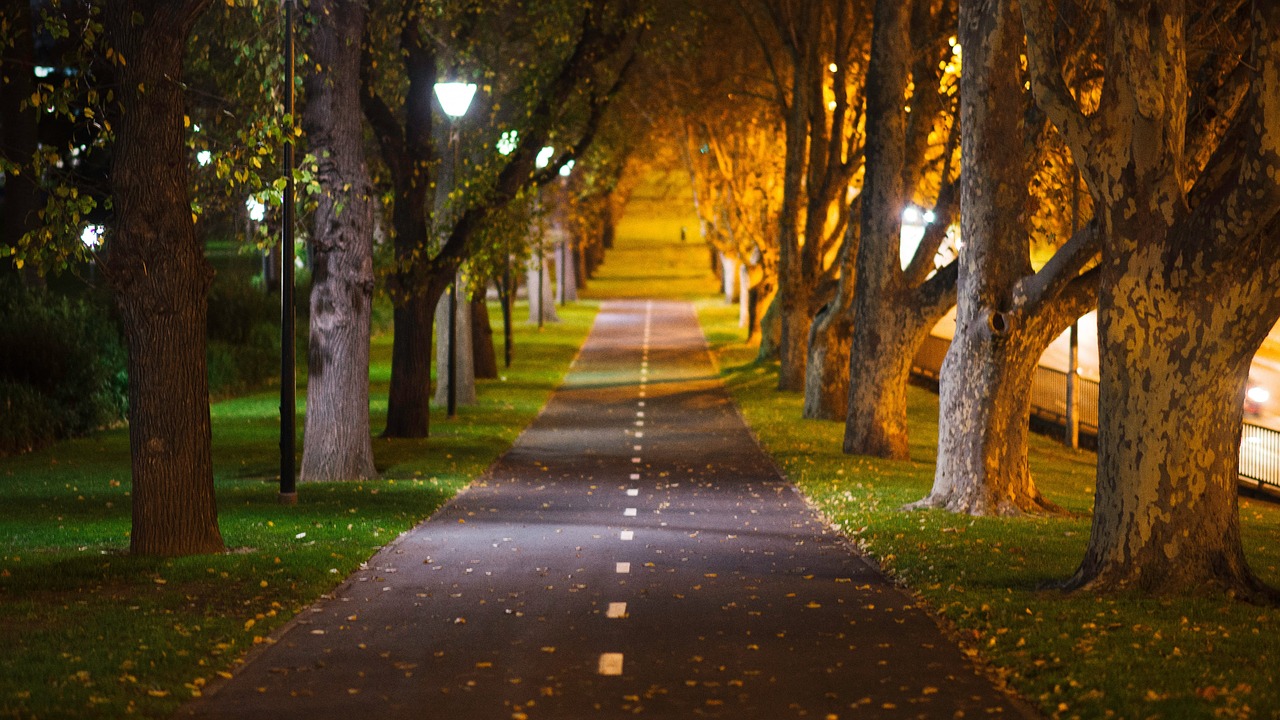 city melbourne australia free photo