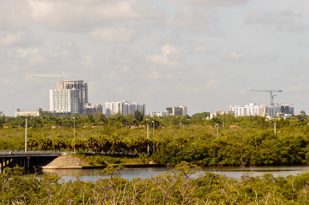 city city scape cityscape free photo