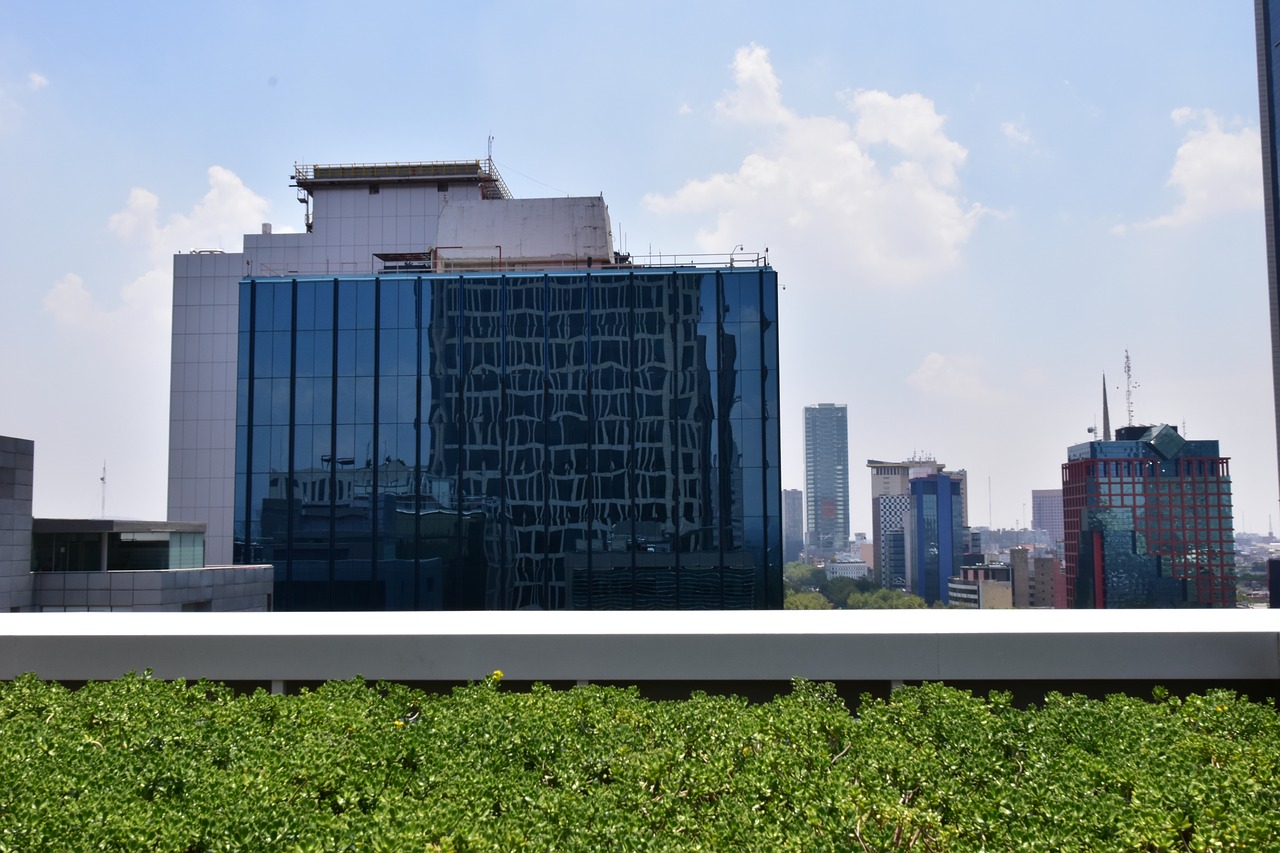 city  buildings  clouds free photo