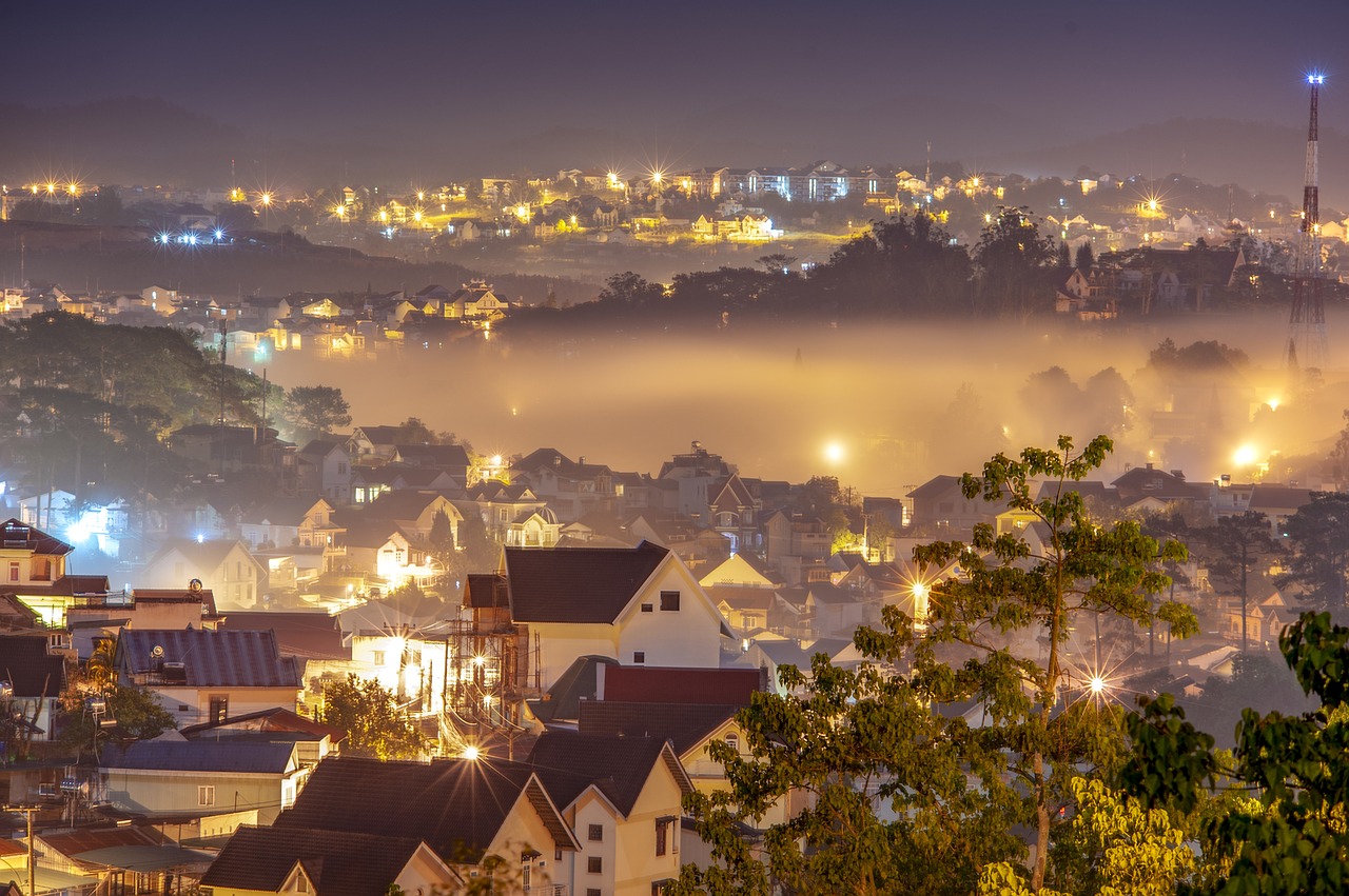 city  night  fog free photo