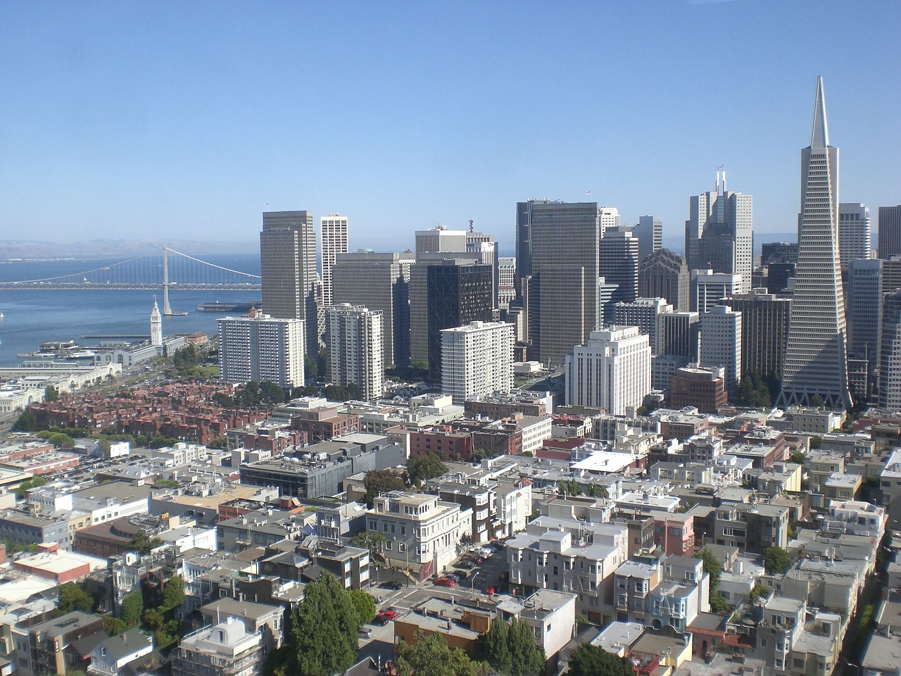 city skyline san francisco free photo