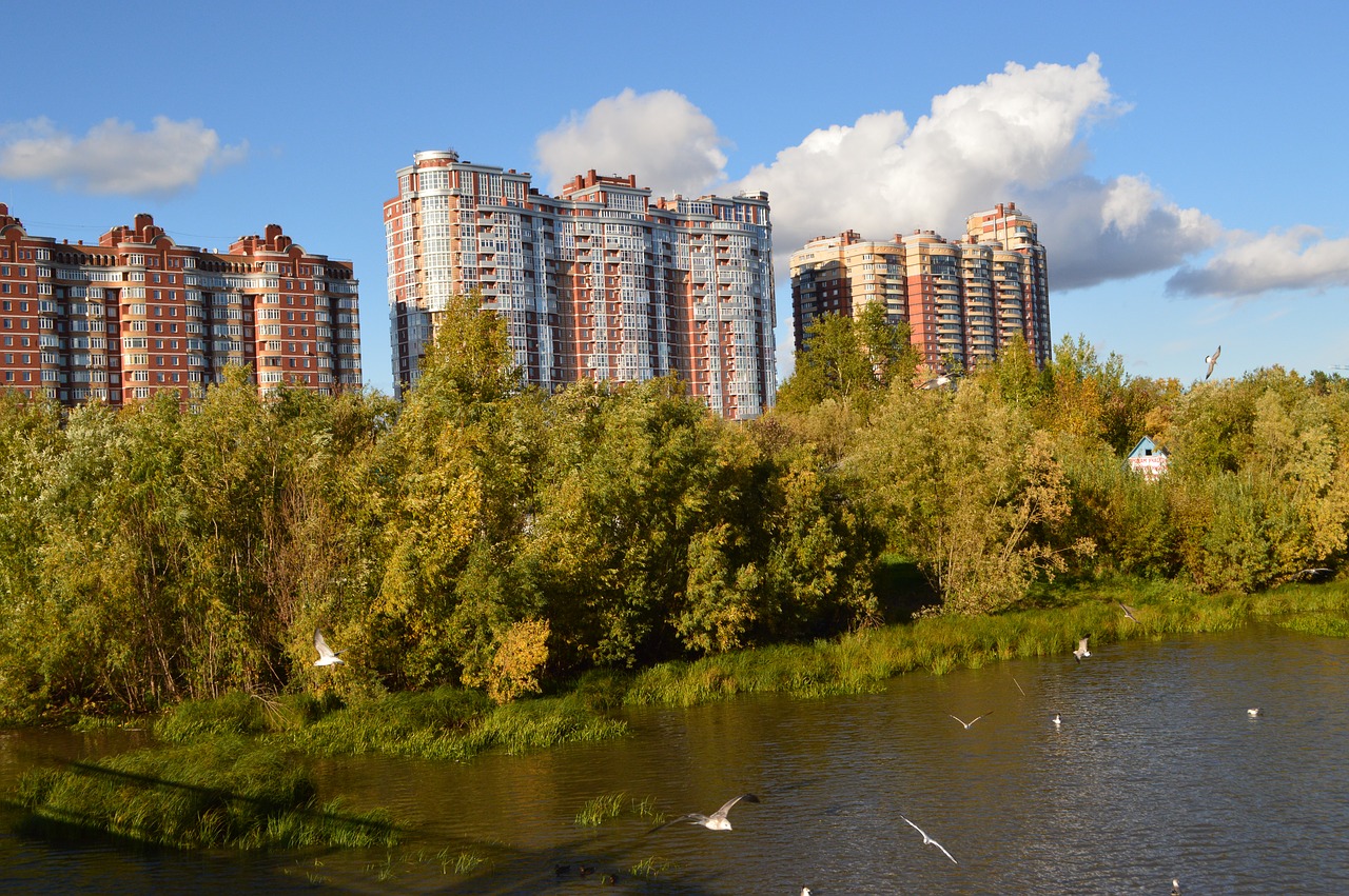 city  small river  nature free photo