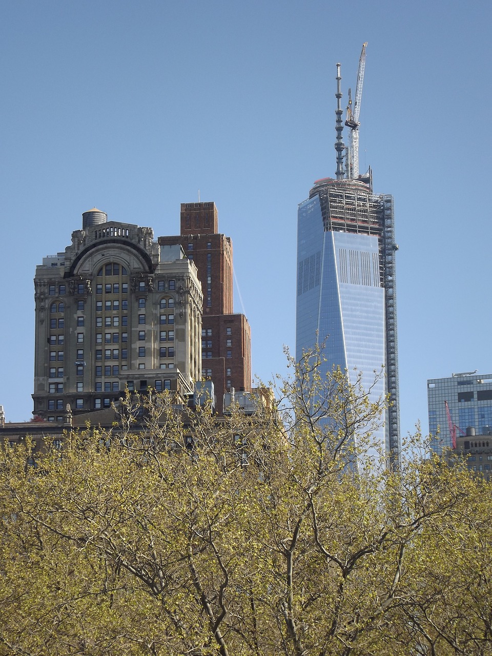 city skyscraper architecture free photo