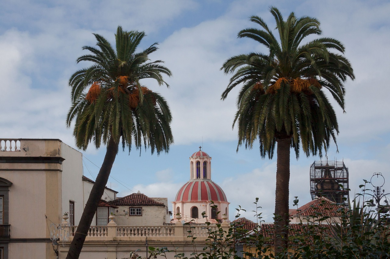 city church palm trees free photo