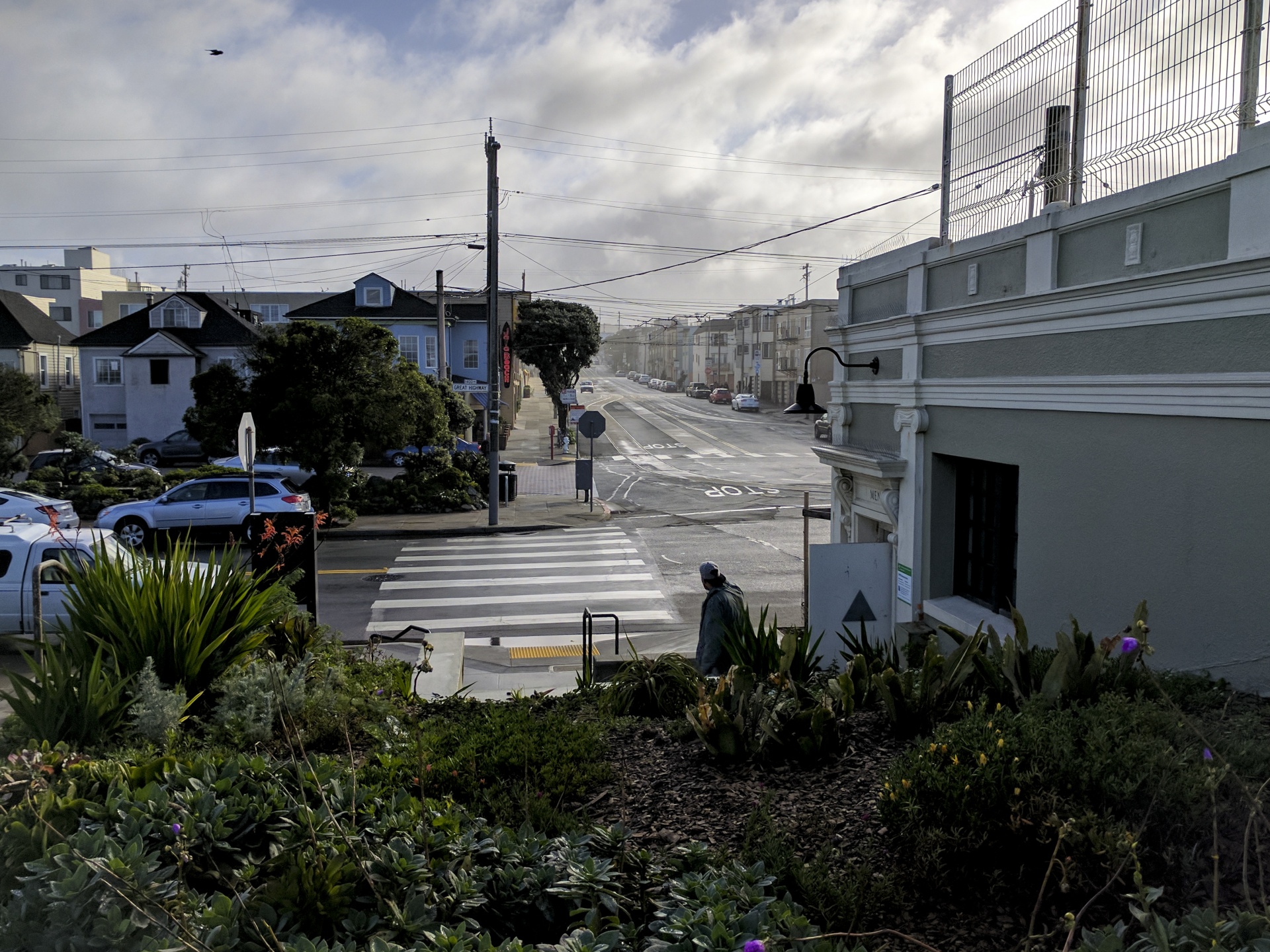 san francisco urban garden free photo