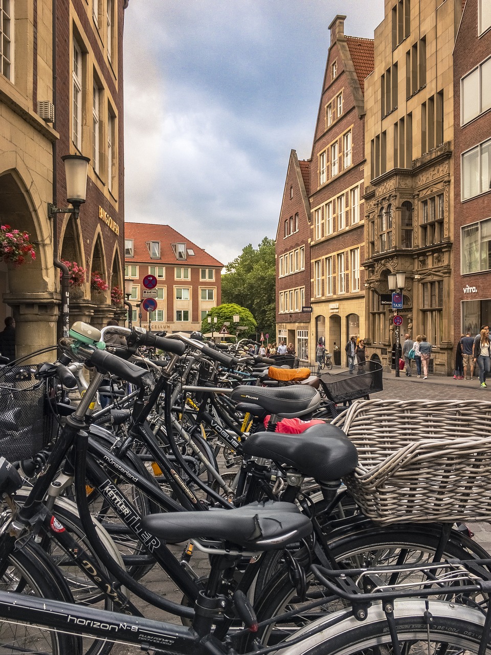 city ​​münster bicycles cycling city free photo