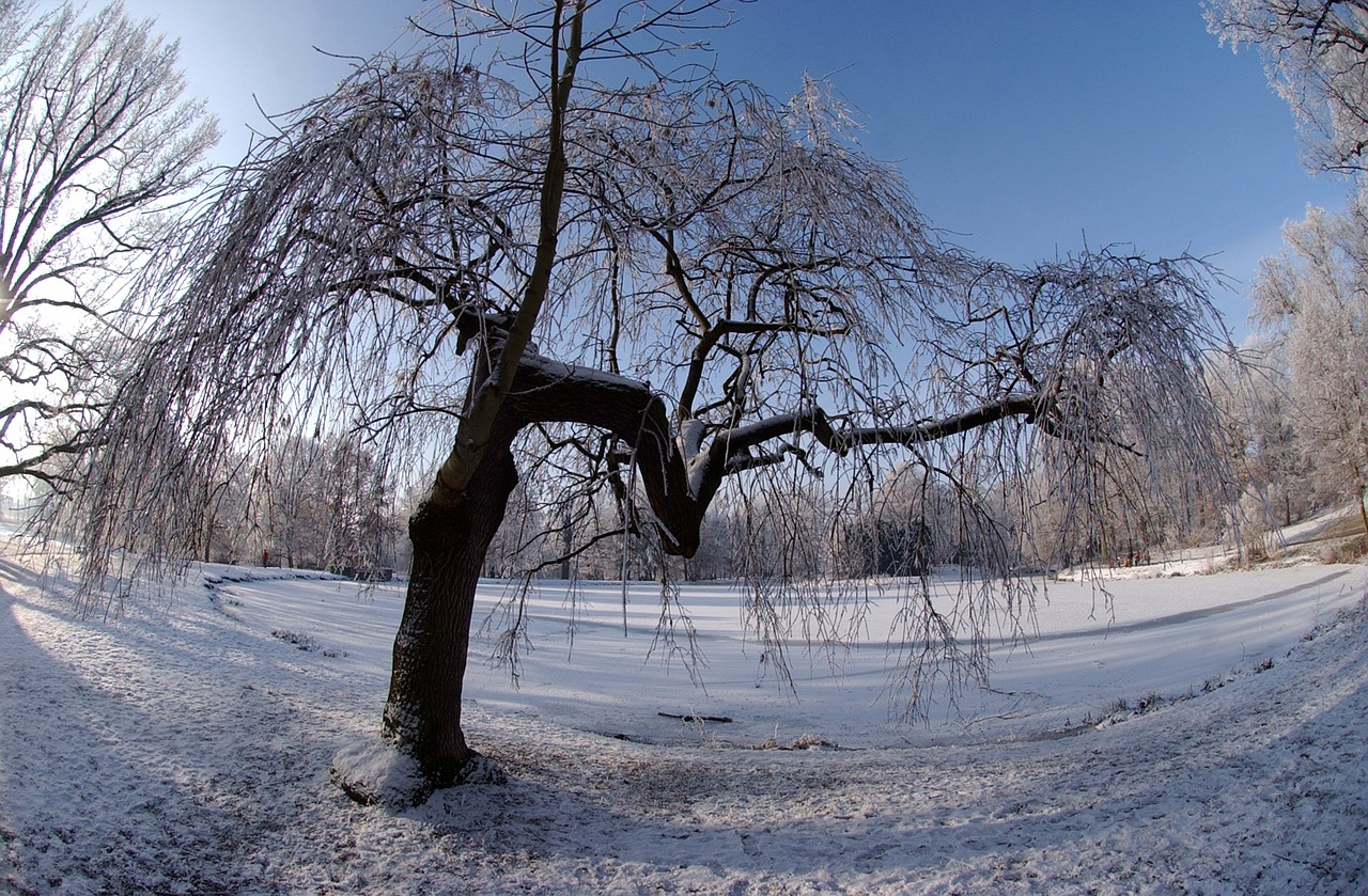 city park gotha ice winter free photo