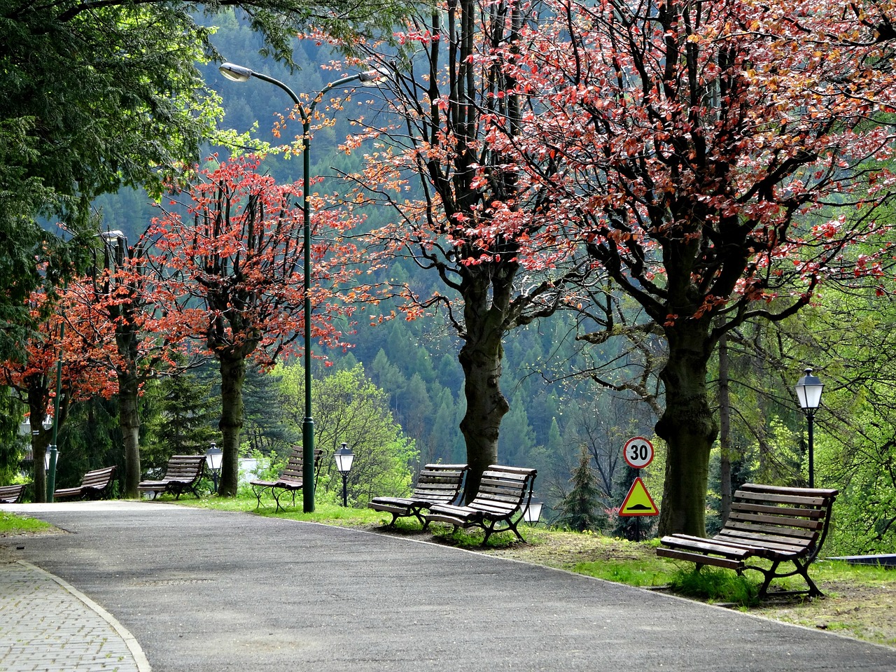 city szczawnica pieniny poland free photo