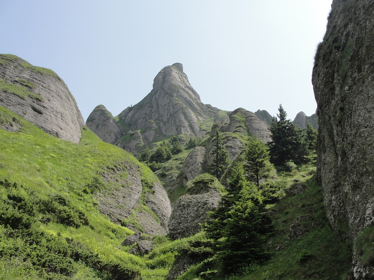 ciucas  hiking  mountain free photo