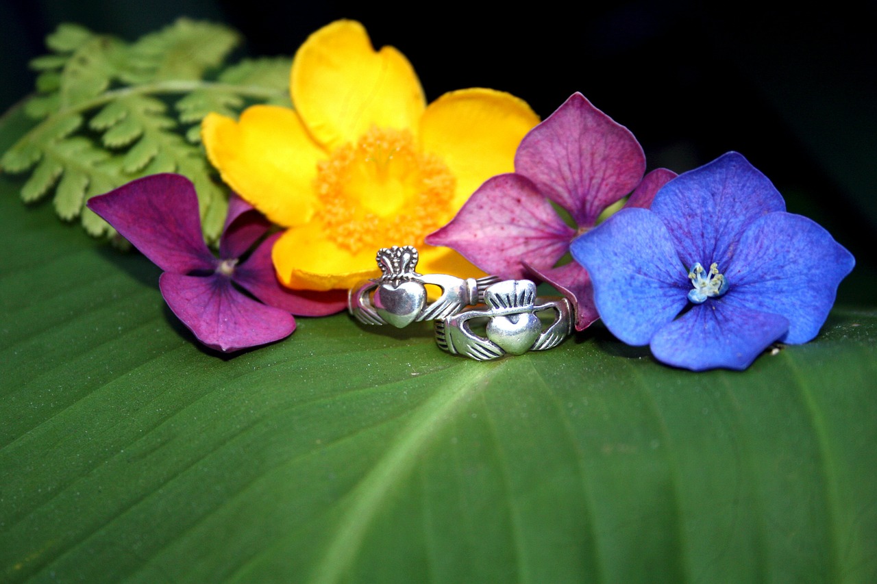 claddagh rings flowers nature free photo