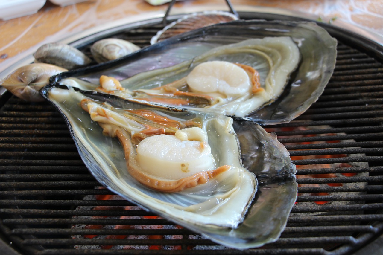 clam grilled shellfish seafood free photo