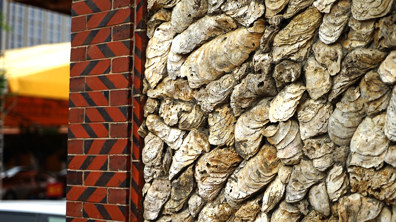 clam shell house china free photo