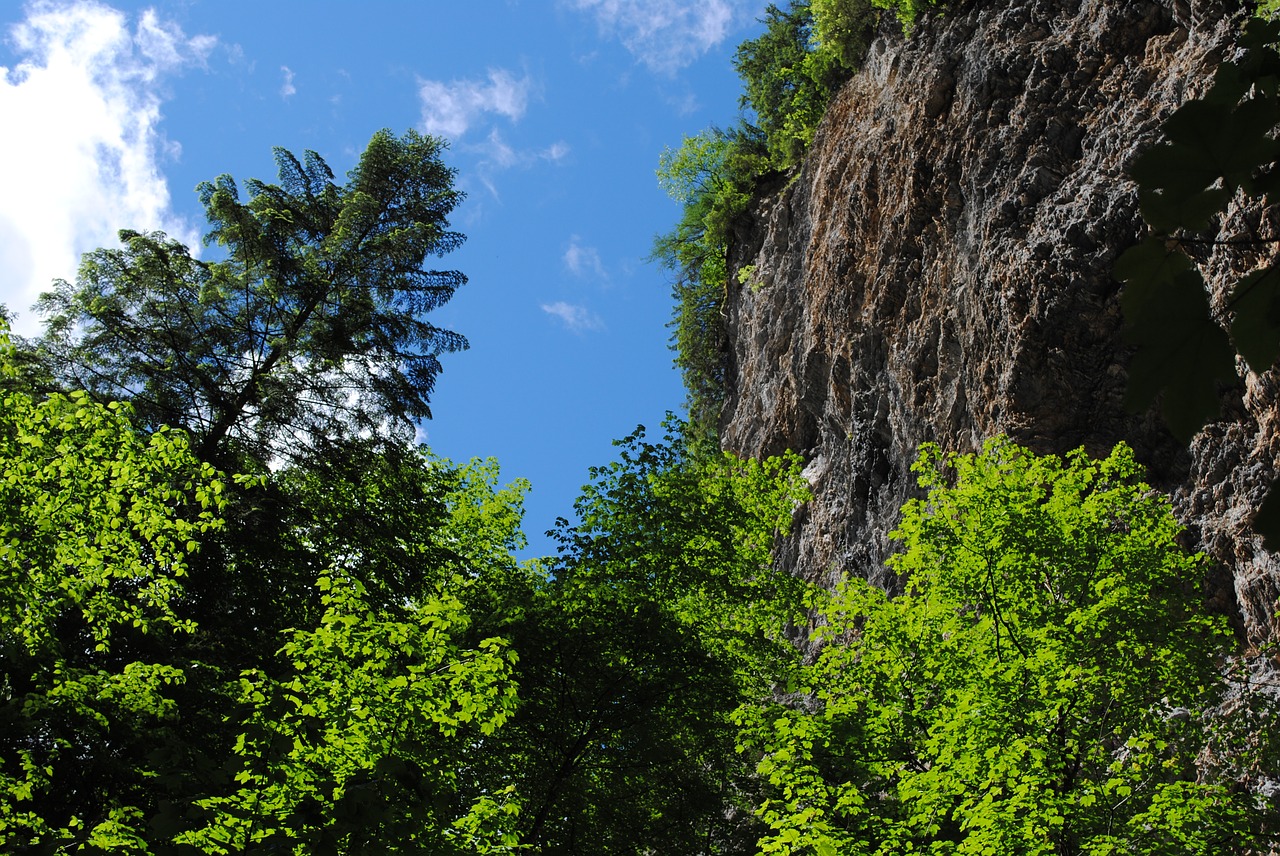 clammy gorge nature free photo