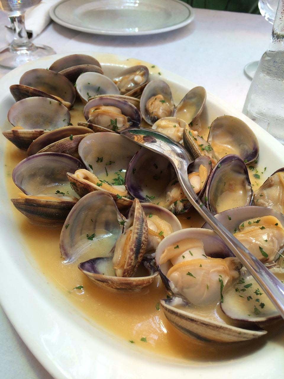 clams food eat free photo