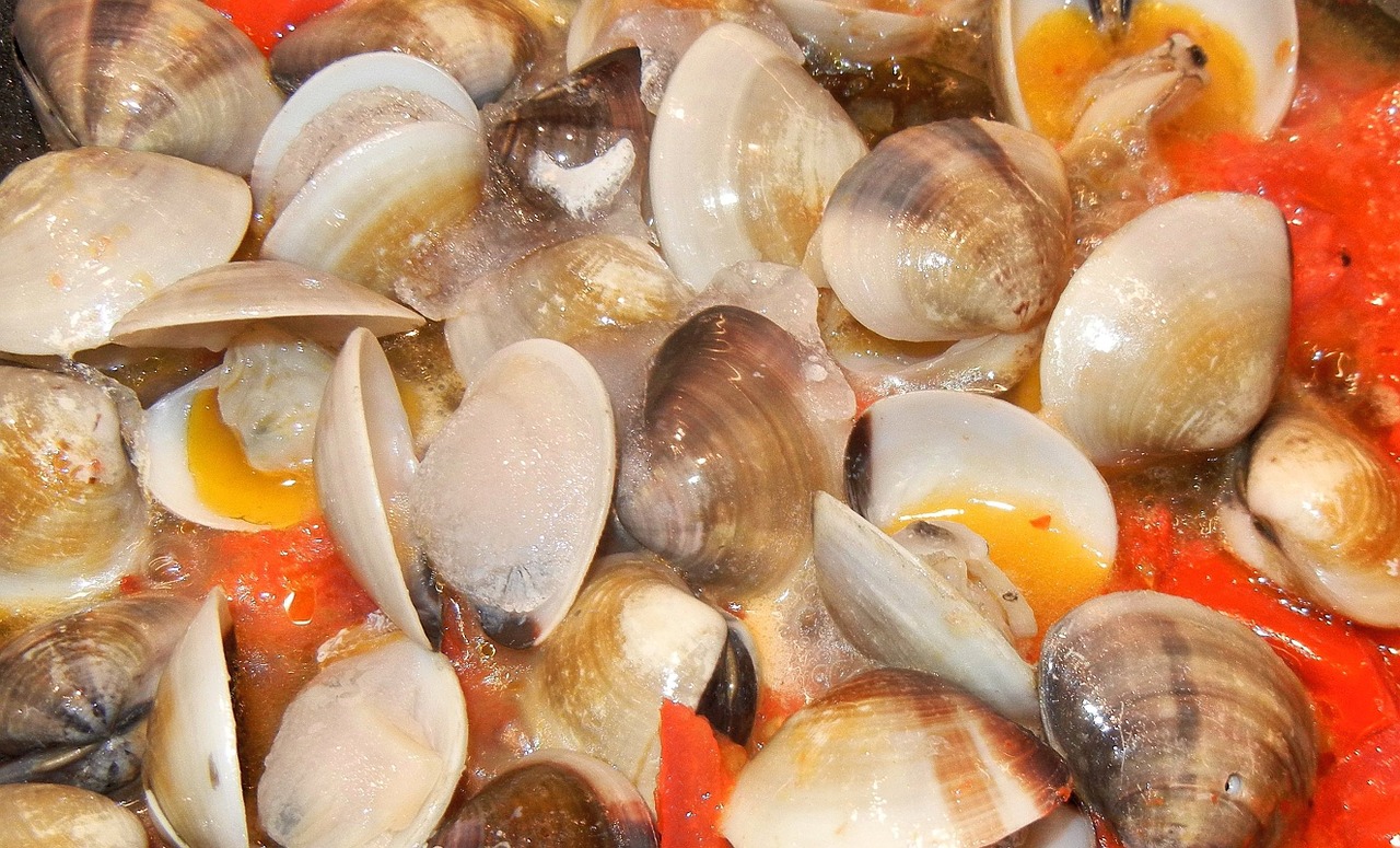 clams tomatoes olive oil free photo