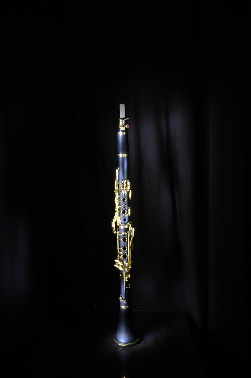 clarinet jazz musical instrument free photo