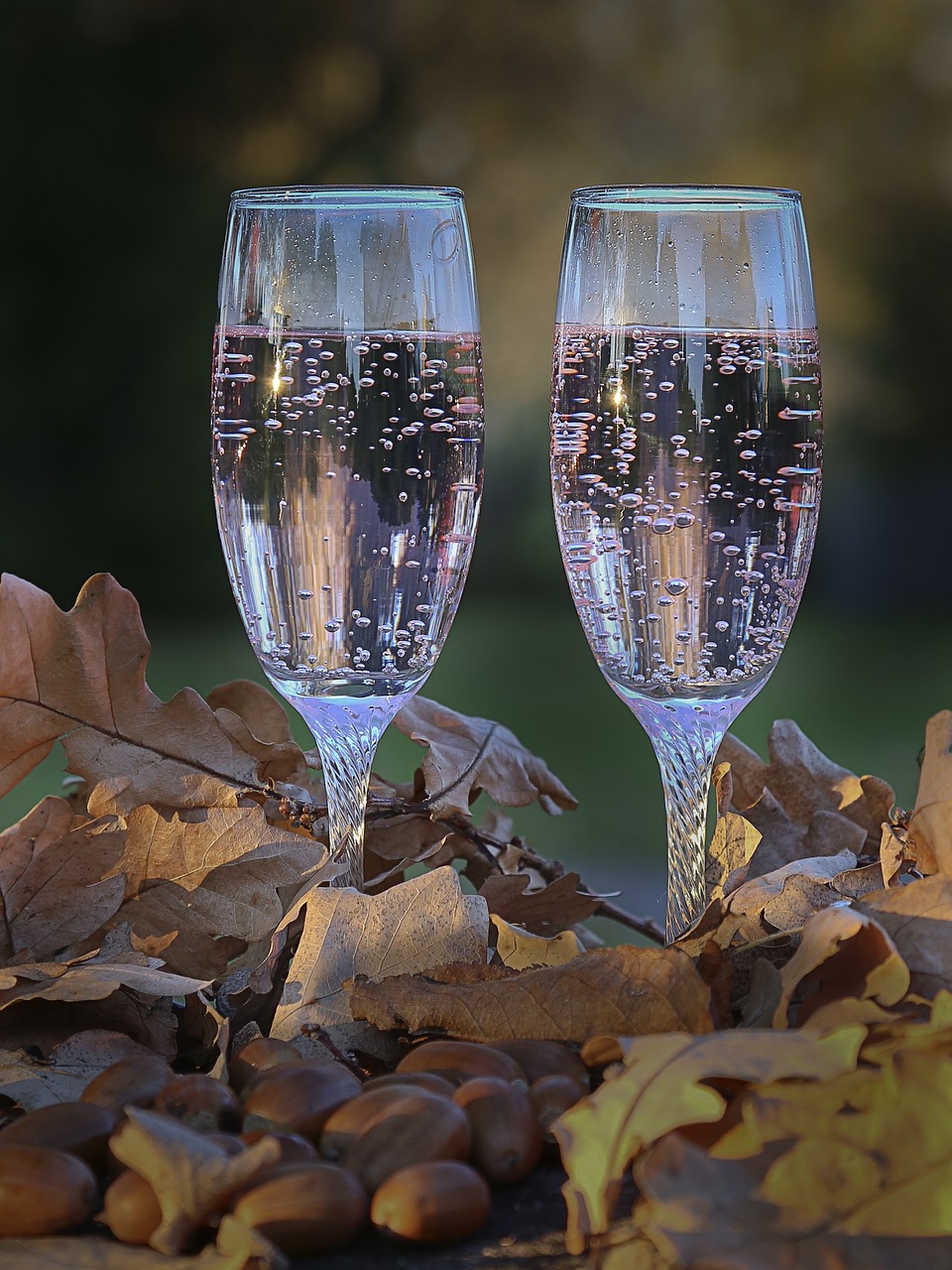 glasses autumn sparkling free photo