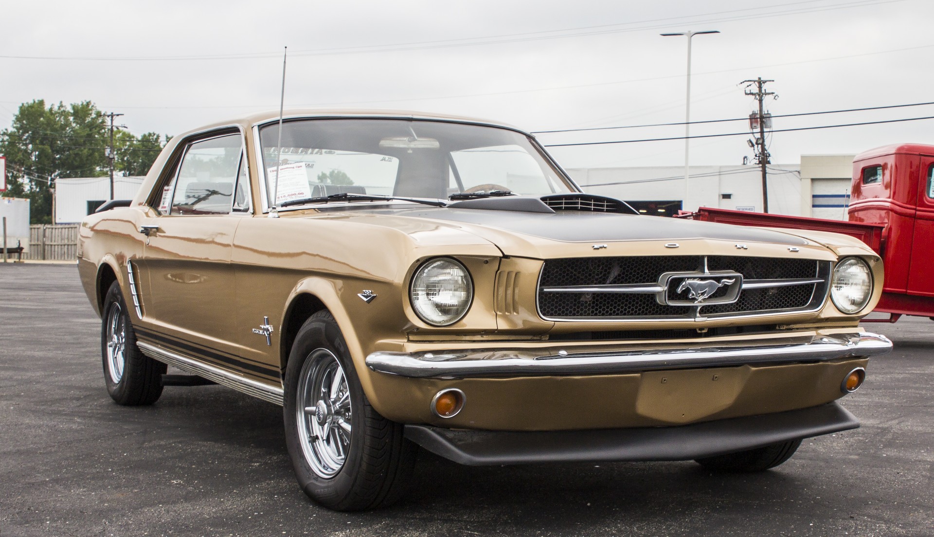 ford mustang ford mustang free photo