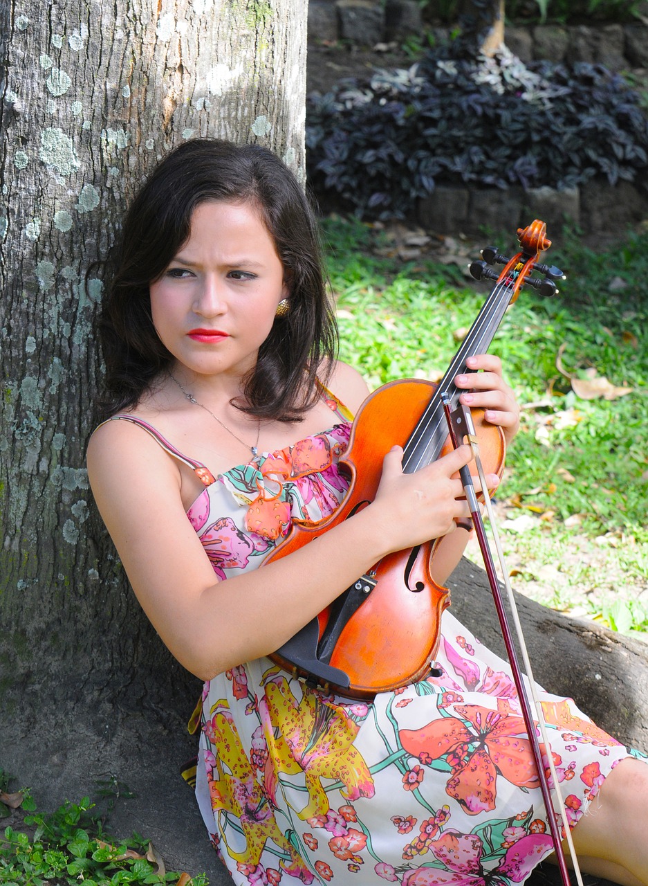 classical violinist violin free photo